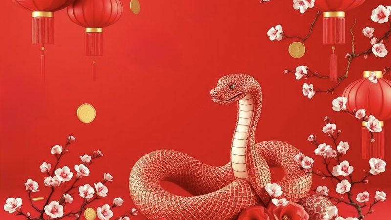 Top Ways to Decorate Your Digital Space for Chinese New Year